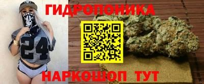 прущие грибы Аргун