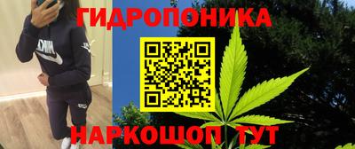 сатива Азнакаево