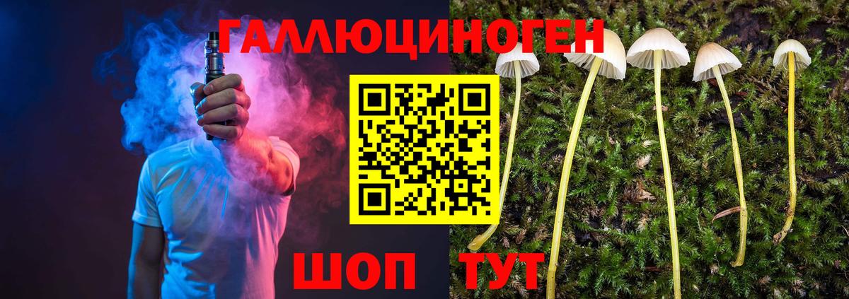 Галлюциногенные грибы MAGIC MUSHROOMS  Псилоцибиновые грибы GOLDEN TEACHER  Вход с VPN  Апрелевка 
