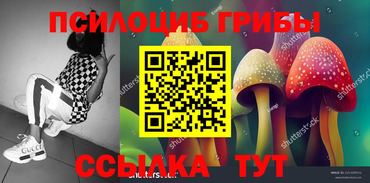Галлюциногенные грибы Psilocybe  Апрелевка  Галлюциногенные грибы мицелий 